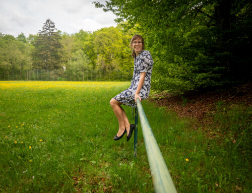 Sommerkleid nähen – Jaina von Zierstoff